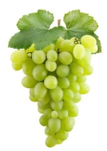 Blueberries, green tea, grapes and turmeric are sources of OPCs